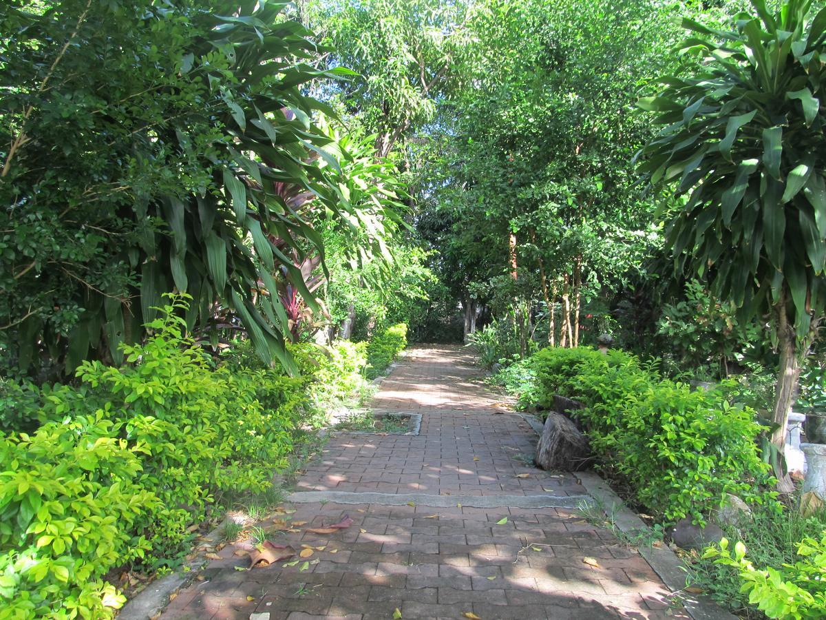Backpackers And Travellers Hostel Neiva (Huila) Exterior foto