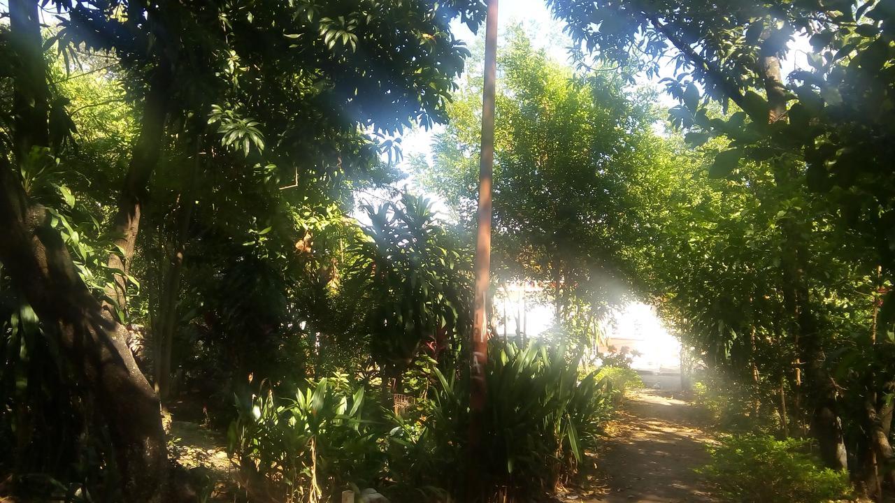 Backpackers And Travellers Hostel Neiva (Huila) Exterior foto